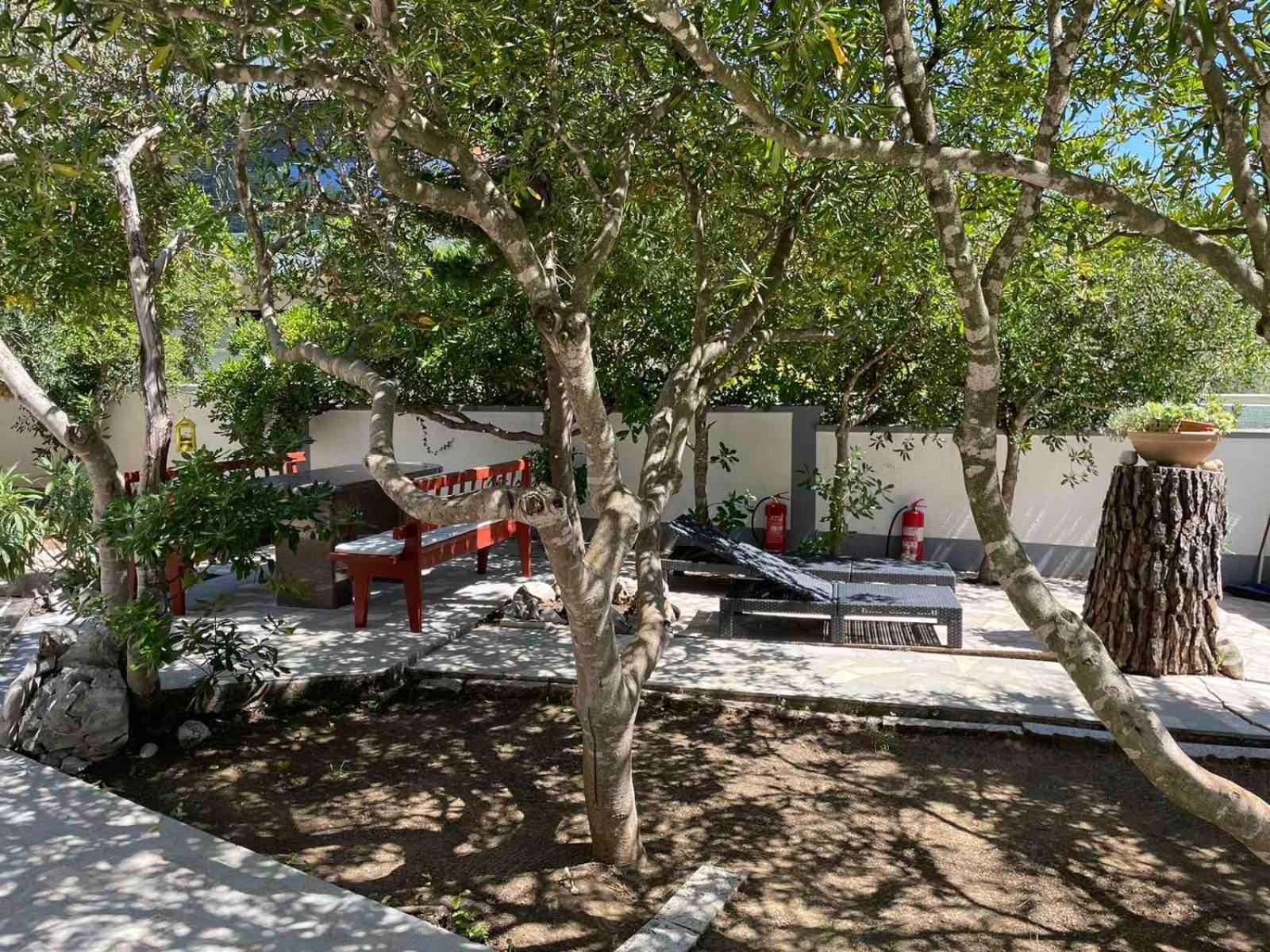 Villa Pagar - With Jacuzzi - Renovated In 2022 Povljana Exterior photo